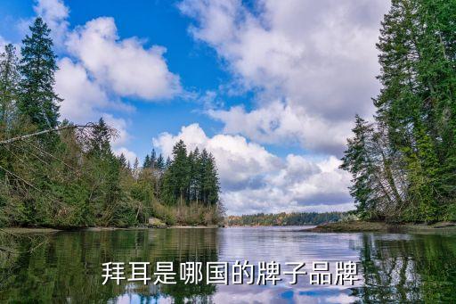 拜耳公司資產(chǎn),大連拜耳公司怎么樣