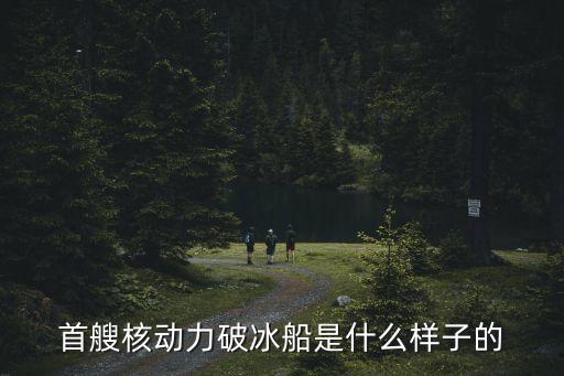 首艘核動力破冰船是什么樣子的