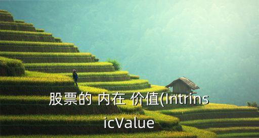 股票的 內在 價值(IntrinsicValue