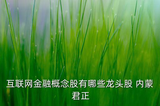 互聯(lián)網(wǎng)金融概念股有哪些龍頭股 內(nèi)蒙 君正