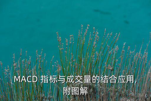 MACD 指標(biāo)與成交量的結(jié)合應(yīng)用,附圖解