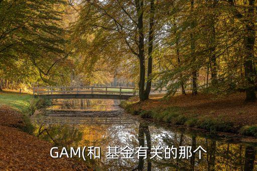 GAM(和 基金有關的那個