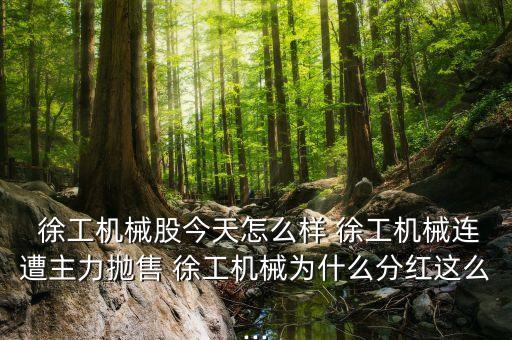  徐工機械股今天怎么樣 徐工機械連遭主力拋售 徐工機械為什么分紅這么...