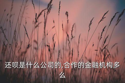 上海協(xié)通融資擔保有限公司,上海三六零融資擔保有限公司