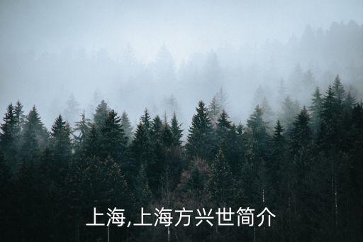 方興上海,上海方興世簡介