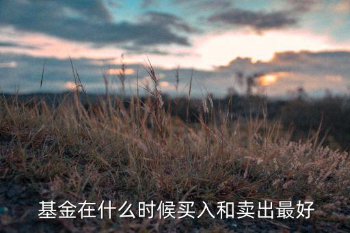  基金在什么時(shí)候買(mǎi)入和賣(mài)出最好