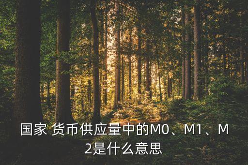 國家 貨幣供應(yīng)量中的M0、M1、M2是什么意思