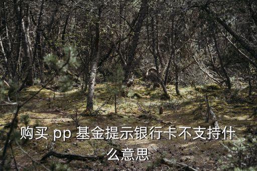 購買 pp 基金提示銀行卡不支持什么意思