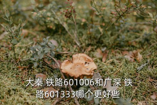  大秦 鐵路601006和廣深 鐵路601333哪個更好些