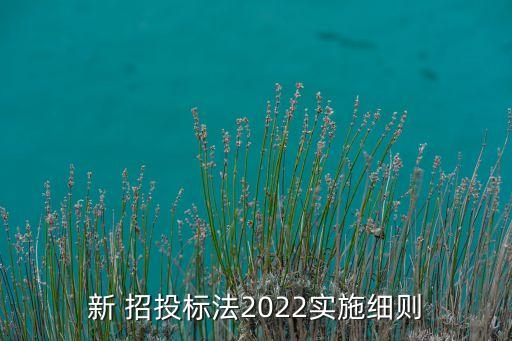 新 招投標法2022實施細則