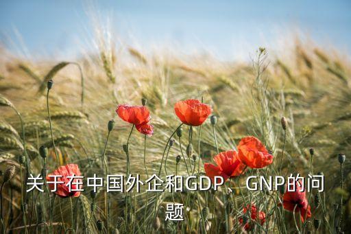 gnp中國,中國GDP和GNP