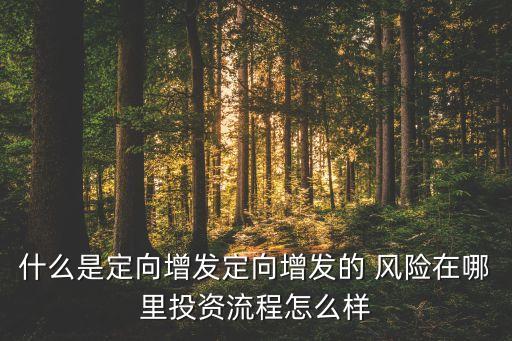 基金定增風(fēng)險和收益,哪類基金風(fēng)險最低,收益高