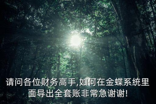 請問各位財務高手,如何在金蝶系統(tǒng)里面導出全套賬非常急謝謝!