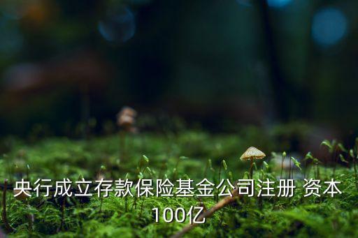 央行成立存款保險(xiǎn)基金公司注冊(cè) 資本100億