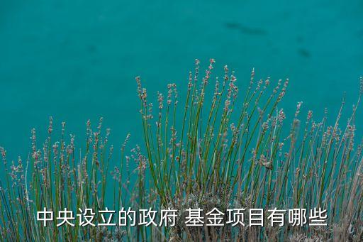 中西部旅游發(fā)展基金,江蘇省旅游產業(yè)發(fā)展基金何總