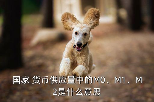 國家 貨幣供應(yīng)量中的M0、M1、M2是什么意思