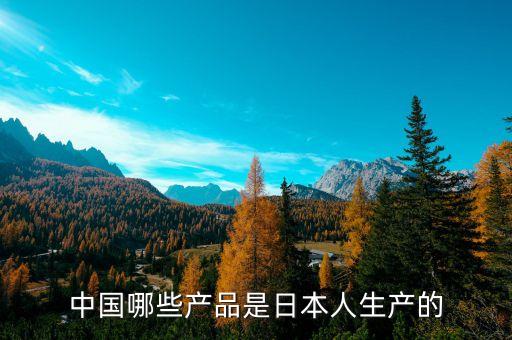 中國哪些產(chǎn)品是日本人生產(chǎn)的