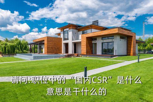 請問:職位中的“國內(nèi)CSR”是什么意思是干什么的