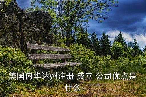 美國內(nèi)華達州注冊 成立 公司優(yōu)點是什么