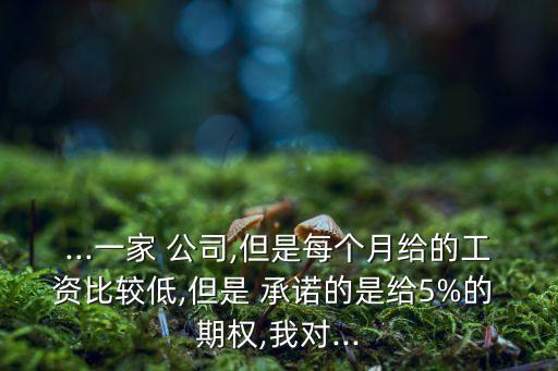 ...一家 公司,但是每個月給的工資比較低,但是 承諾的是給5%的 期權(quán),我對...