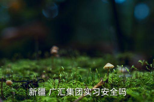 新疆哈密廣匯物流有限公司印章,哈密廣匯環(huán)?？萍加邢薰敬鲈趺礃?/></a></span><span id=