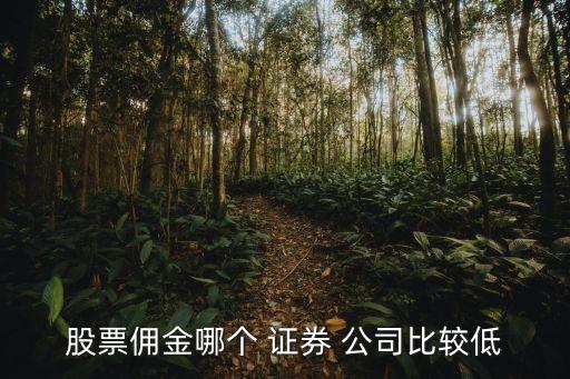 股票傭金哪個(gè) 證券 公司比較低