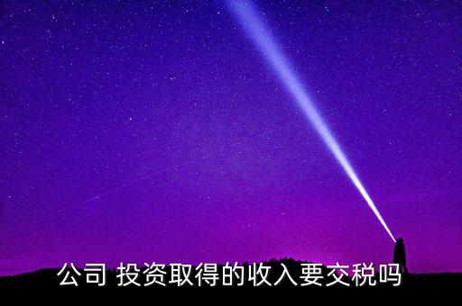 企業(yè)投資所得稅稅率,小微企業(yè)2022年所得稅稅率