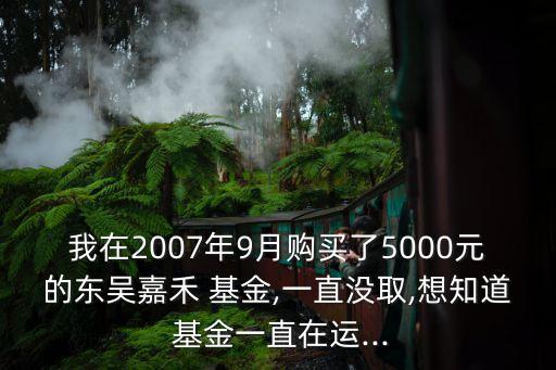 我在2007年9月購買了5000元的東吳嘉禾 基金,一直沒取,想知道 基金一直在運(yùn)...