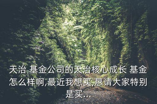 天治 基金公司的天治核心成長(zhǎng) 基金怎么樣啊,最近我想買,懇請(qǐng)大家特別是買...