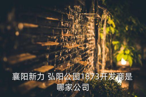 襄陽新力 弘陽公園1873開發(fā)商是哪家公司