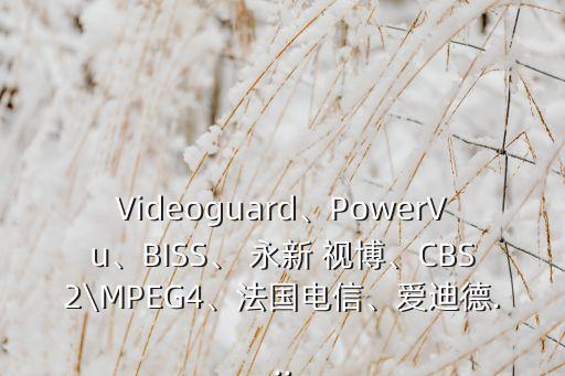 Videoguard、PowerVu、BISS、 永新 視博、CBS2\MPEG4、法國電信、愛迪德...