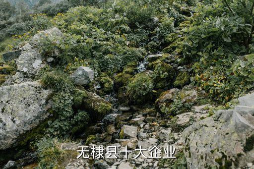 魯北無(wú)棣鑫岳化工有限公司,山東無(wú)棣鑫岳化工有限公司官方網(wǎng)站