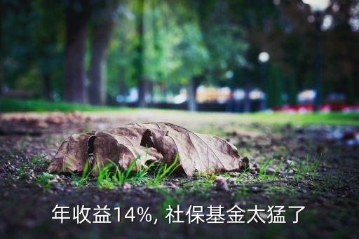 年收益14%, 社?；鹛土? class=