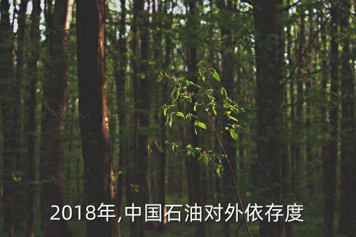 2018年,中國石油對外依存度