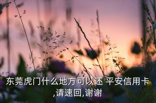 東莞虎門(mén)什么地方可以還 平安信用卡,請(qǐng)速回,謝謝