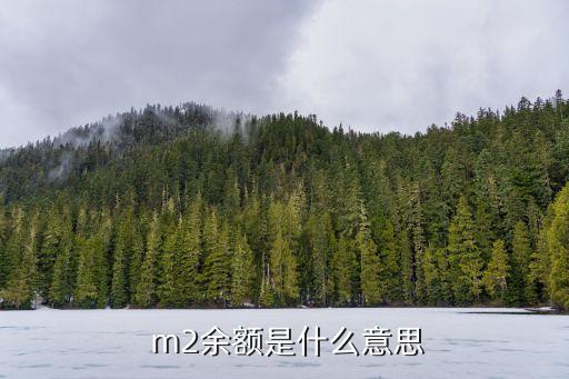  m2余額是什么意思