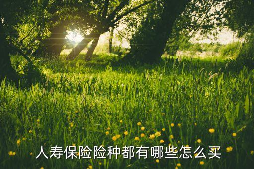  人壽保險(xiǎn)險(xiǎn)種都有哪些怎么買