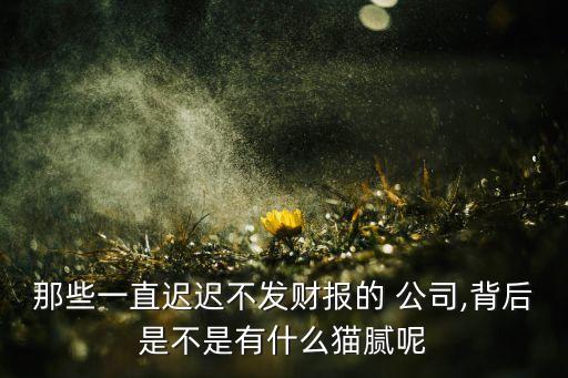 那些一直遲遲不發(fā)財(cái)報(bào)的 公司,背后是不是有什么貓膩呢