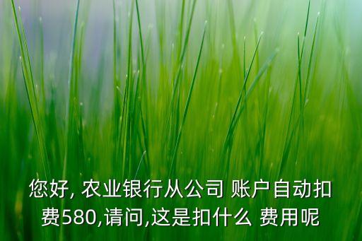 您好, 農業(yè)銀行從公司 賬戶自動扣費580,請問,這是扣什么 費用呢