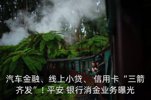 汽車金融、線上小貸、 信用卡“三箭齊發(fā)”! 平安 銀行消金業(yè)務(wù)曝光