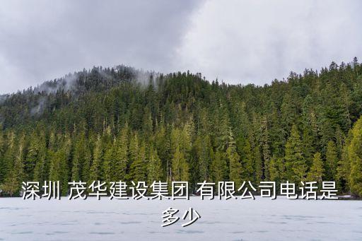 浙江茂華實(shí)業(yè)有限公司,浙江華浙實(shí)業(yè)有限公司