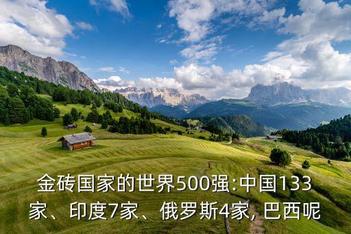 金磚國家的世界500強(qiáng):中國133家、印度7家、俄羅斯4家, 巴西呢