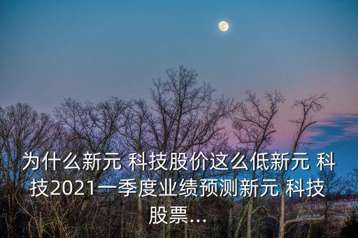 為什么新元 科技股價這么低新元 科技2021一季度業(yè)績預測新元 科技股票...