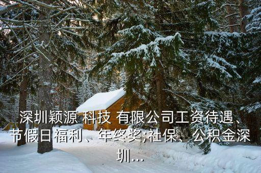 深圳穎源 科技 有限公司工資待遇、節(jié)假日福利、年終獎(jiǎng);社保、公積金深圳...