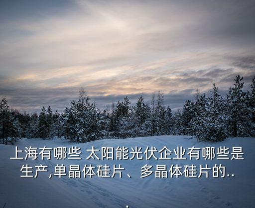 上海有哪些 太陽能光伏企業(yè)有哪些是生產,單晶體硅片、多晶體硅片的...