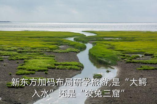  新東方加碼布局研學(xué)旅游,是“大鱷入水”還是“狡兔三窟”