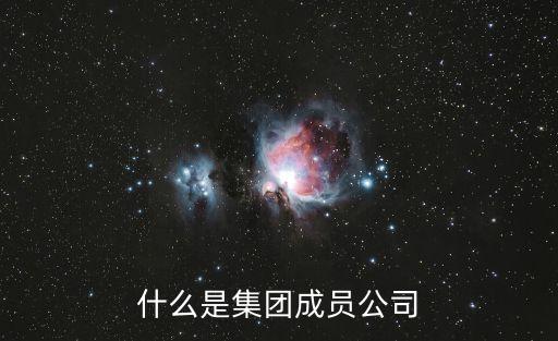 什么是集團(tuán)成員公司