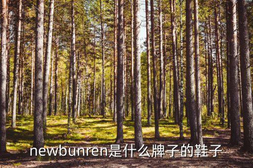 newbunren是什么牌子的鞋子