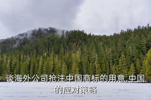 談海外公司搶注中國商標(biāo)的用意,中國的應(yīng)對(duì)策略