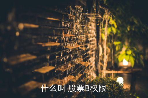 什么叫 股票B權(quán)限